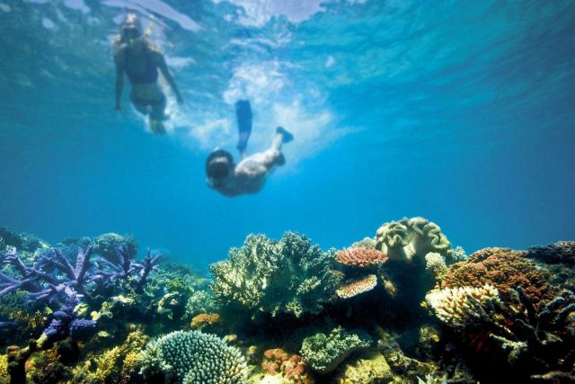 (Credit: greatbarrierreef.org)