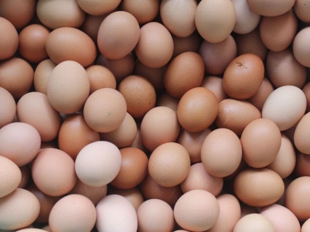 More Illnesses Reported as Salmonella Outbreak Traced to Eggs Spreads